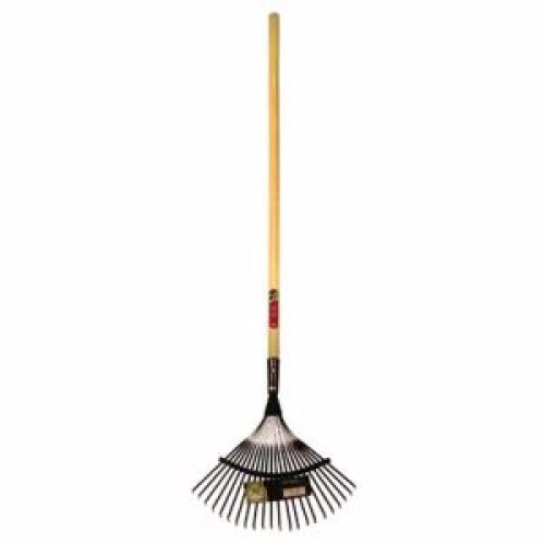 Rake Lawn Green W/HDL 22 Tine