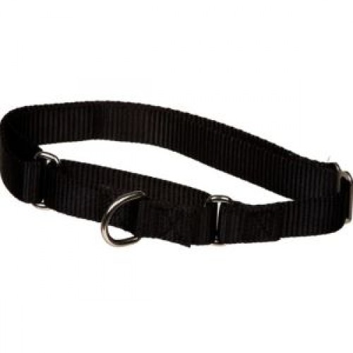 Collar Dog 19'' BLACK