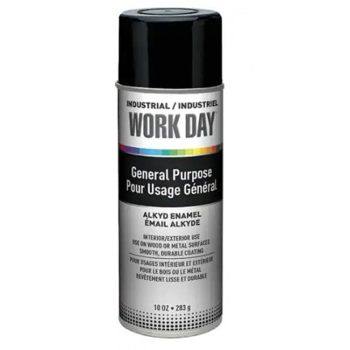 Spray Paint BLACK Gloss W\Day