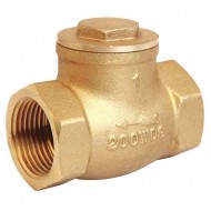 Check Valve 1/2 Swing Brass