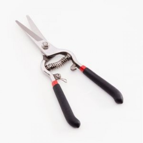 Pruning  Shears 8'' VALLEY
