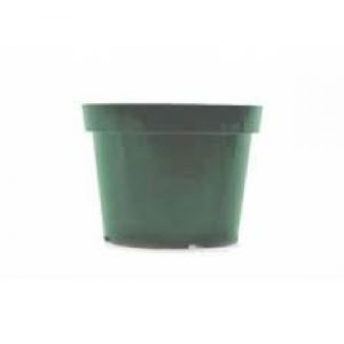 Pots Plastic AZA Green 6"
