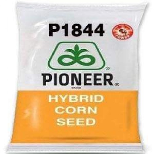 Corn Seeds Pioneer 1/4lb